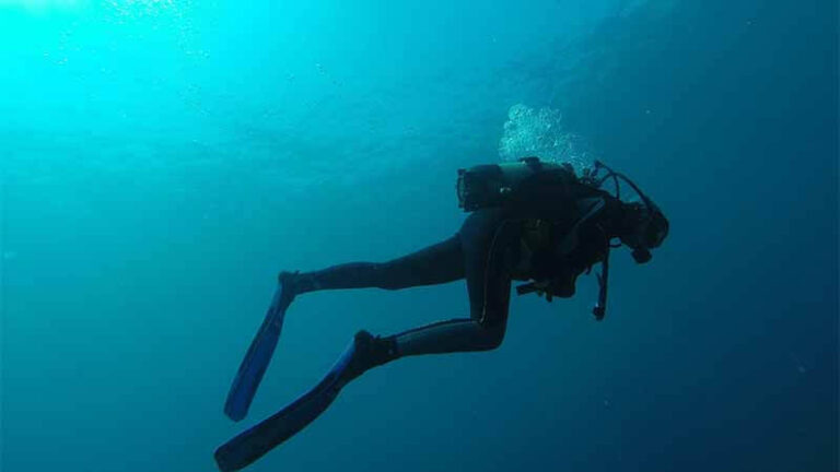 5 Best Scuba Diving Fins of 2023