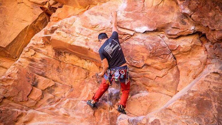5 Best Rock Climbing Harnesses of 2023