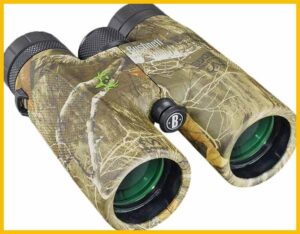 best-hunting-binoculars-bushnell