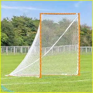 best-lacrosse-goals-forza
